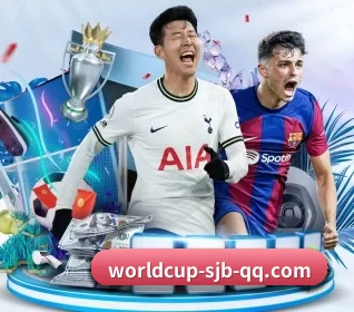 世界杯五大内容板块,覆盖赛事直播与实时比分